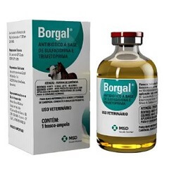 Borgal 10ml