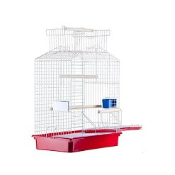 Gaiola Calopcita Mix Duplex Epoxi E153